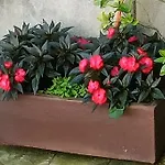 Frühstückspension Tribunak Lasarte Oria