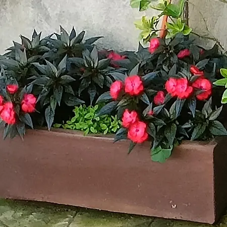 Bed & Breakfast Tribunak Lasarte Oria