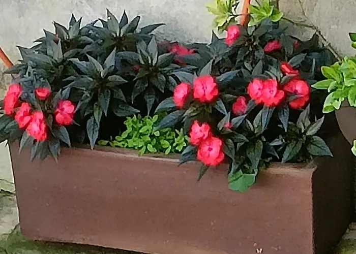 Alojamento de Acomodação e Pequeno-almoço Tribunak Lasarte Oria